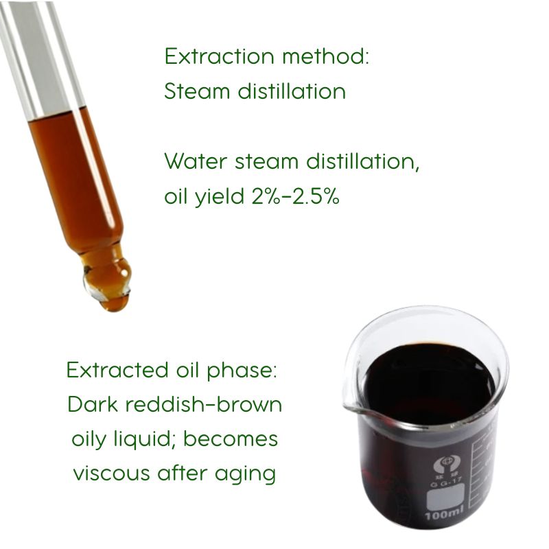 Patchouli Essential Oil Steam Distillation 100% pure essential oils