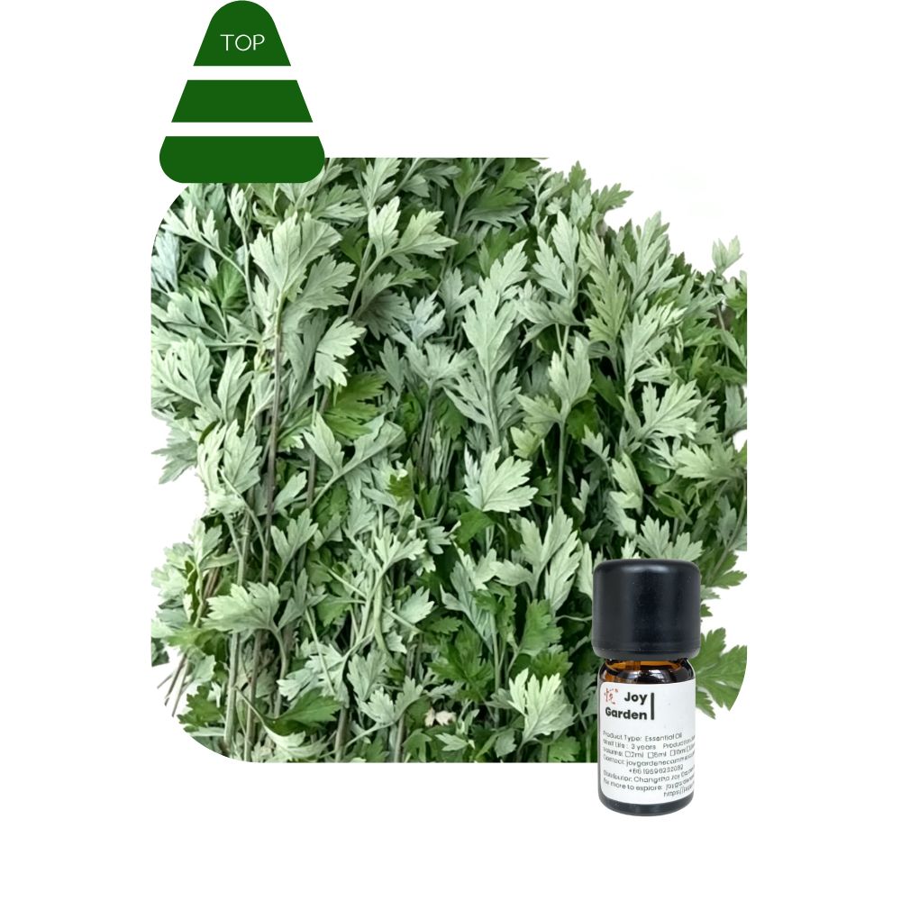 Natural Mugwort Essential Oil Series 100% Pure Essence and 3% Ready-to-Use Botanical Blend