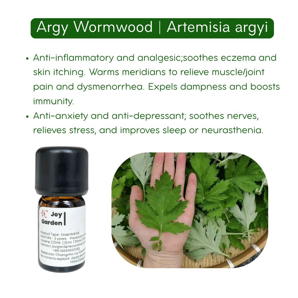 Natural Mugwort Essential Oil Series 100% Pure Essence and 3% Ready-to-Use Botanical Blend