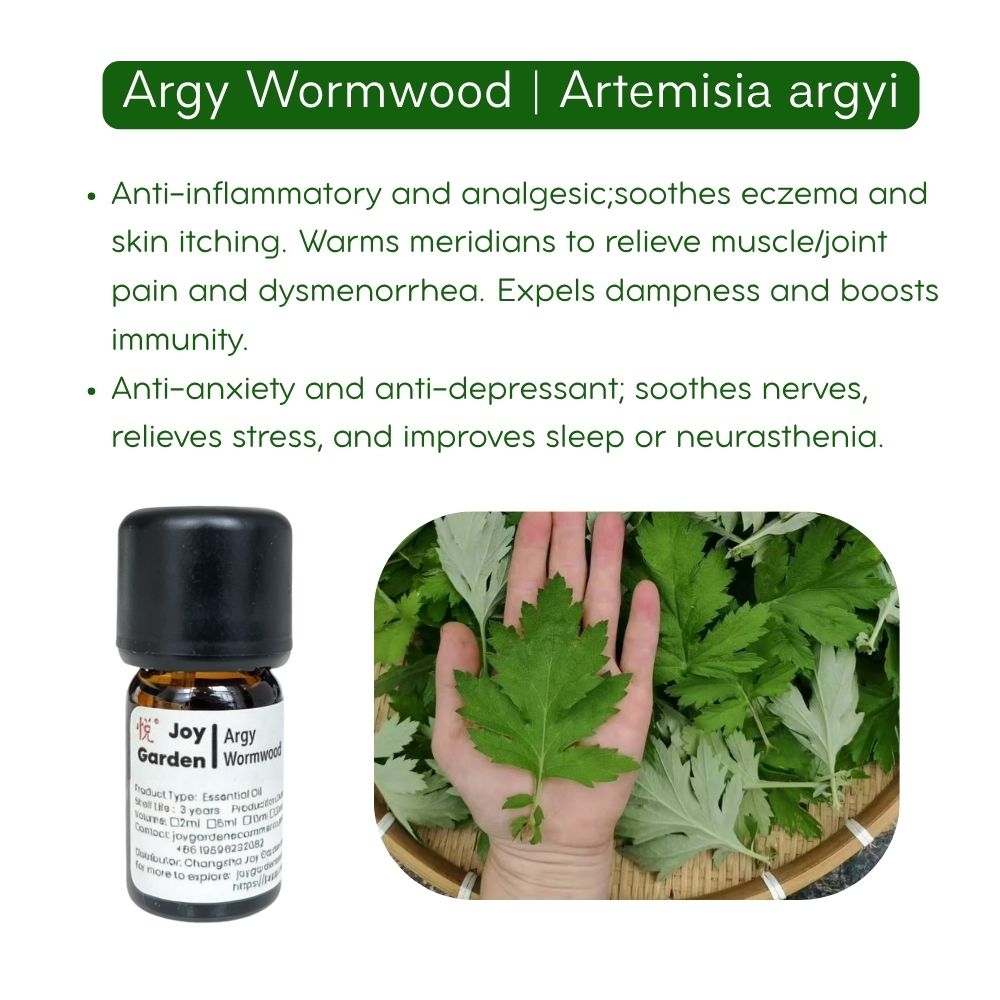Natural Mugwort Essential Oil Series 100% Pure Essence and 3% Ready-to-Use Botanical Blend