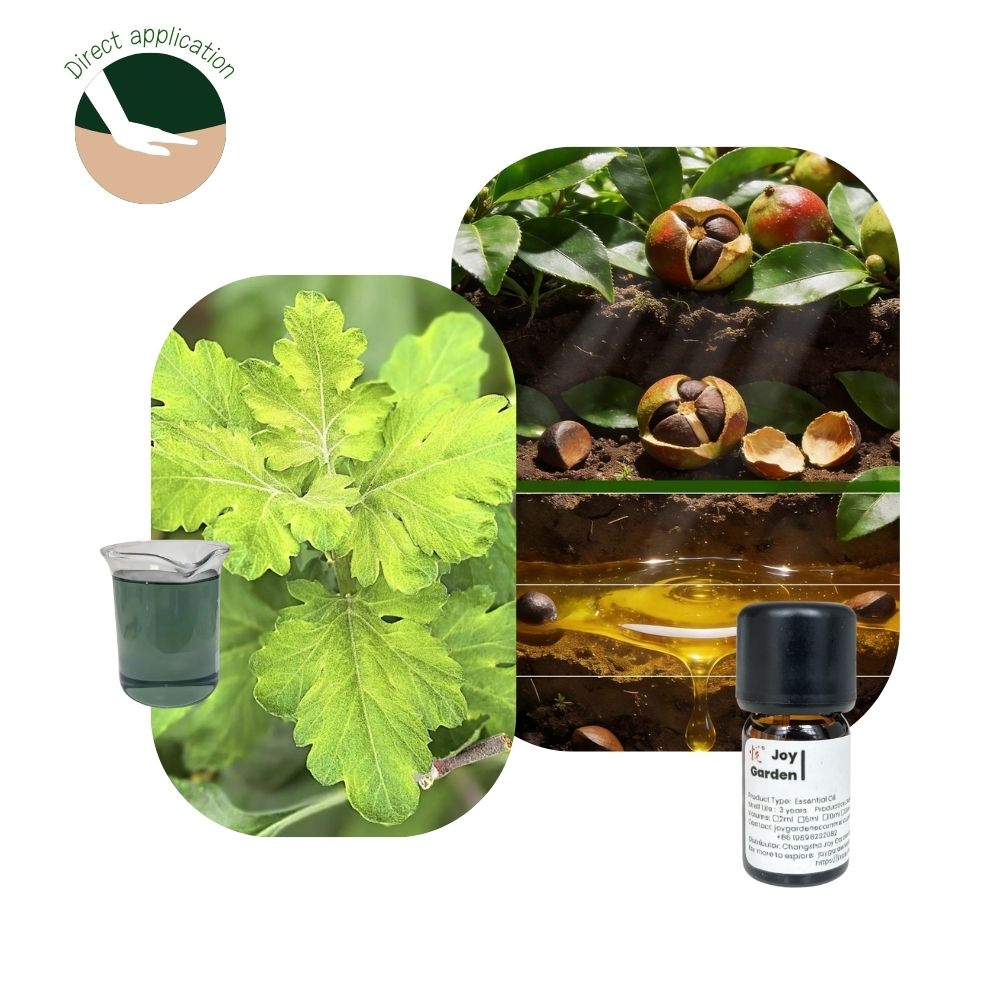 Natural Mugwort Essential Oil Series 100% Pure Essence and 3% Ready-to-Use Botanical Blend