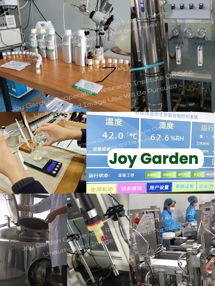 Joy Garden essential oil extraction partner factory, on-site production of natural herbal oils
