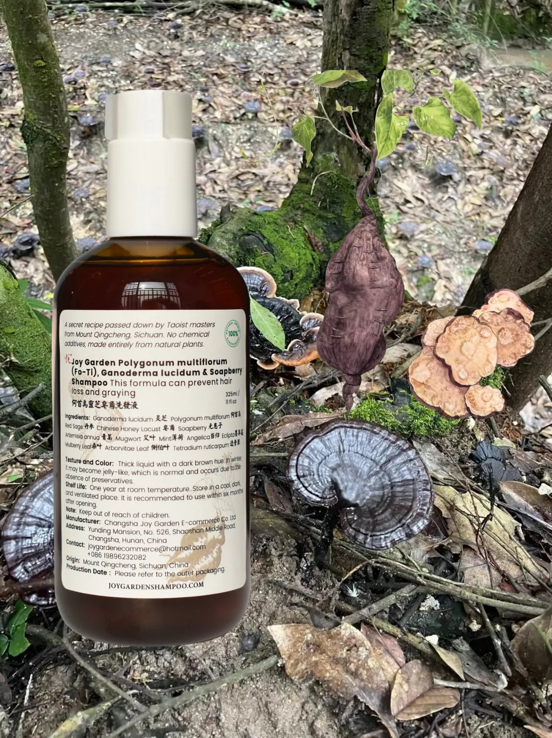 Joy Garden Fo-Ti and Reishi Mushroom Herbal Shampoo 325ml bottle in natural forest with wild Reishi