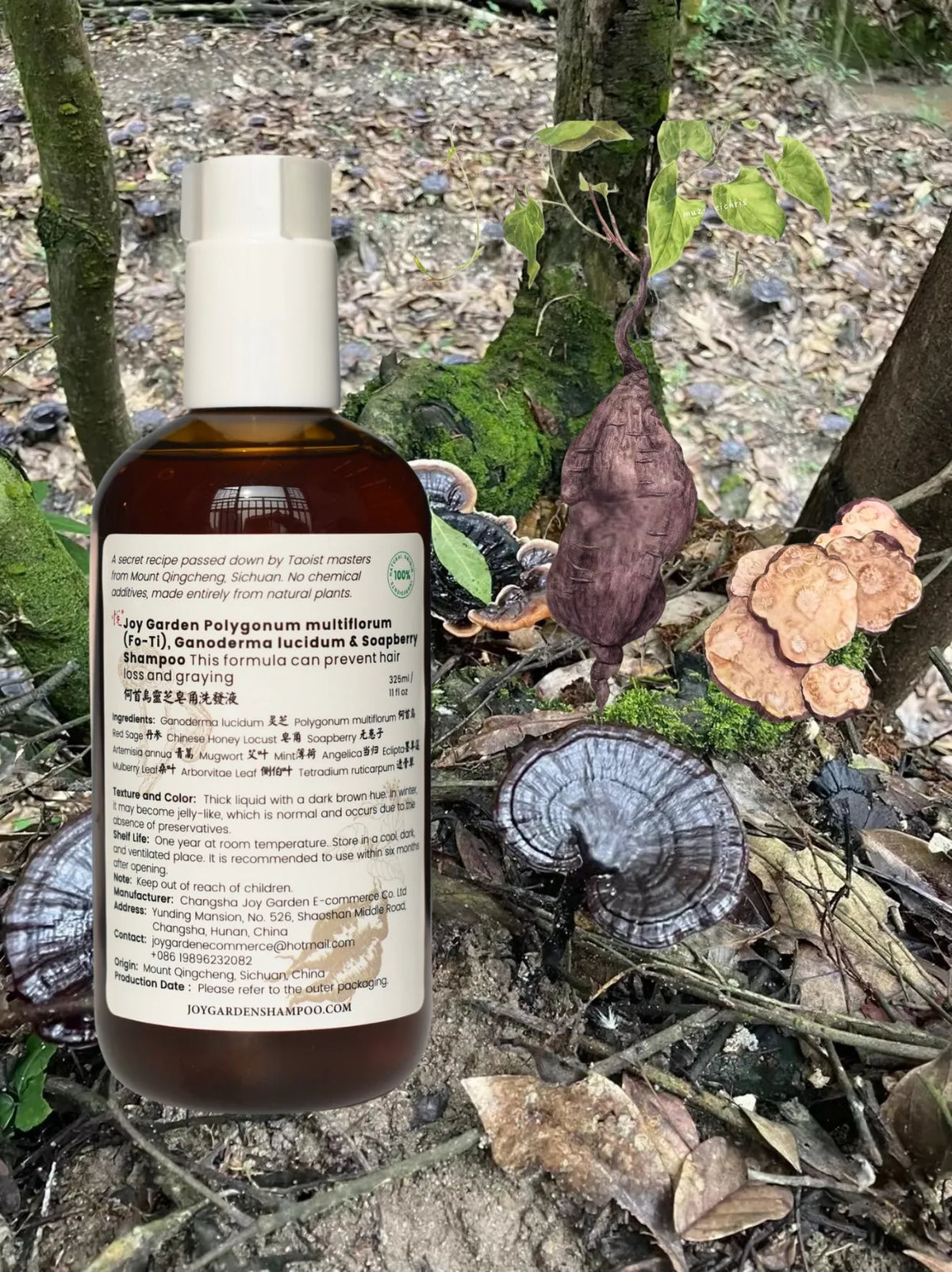 Joy Garden Fo-Ti and Reishi Mushroom Herbal Shampoo 325ml bottle in natural forest with wild Reishi