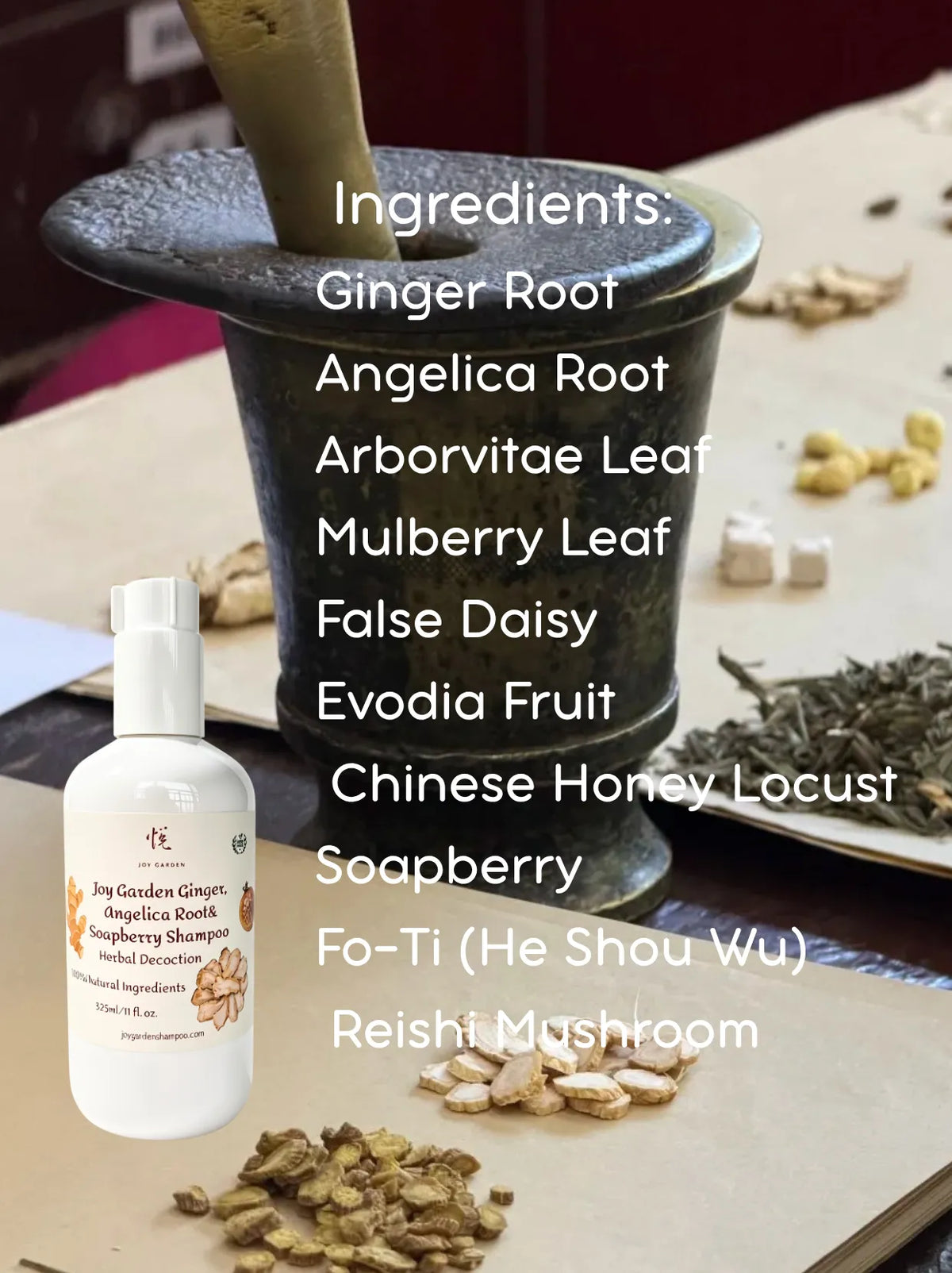 Full herbal ingredients list for Joy Garden Ginger and Angelica Root Shampoo displayed with traditional mortar and raw botanicals