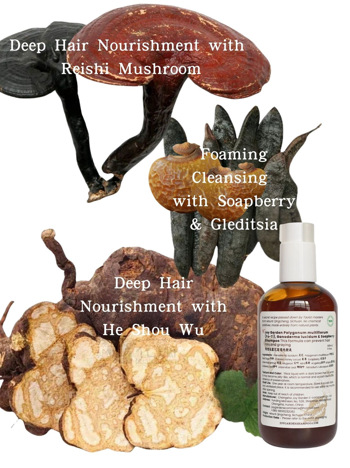 Top 3 active herbal ingredients of Joy Garden Soapberry Shampoo