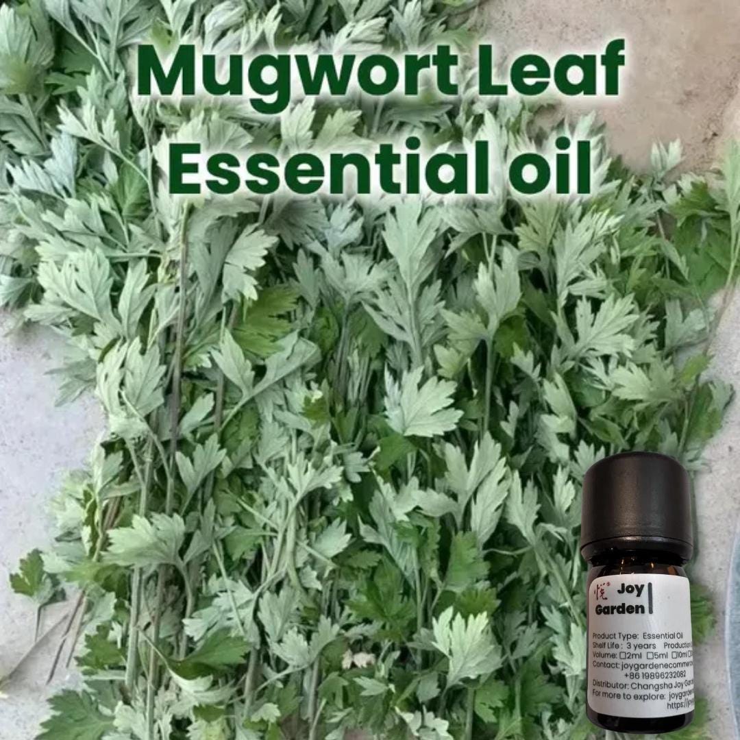 Joy Garden Mugwort Essential Oil – Natural Plant Oil for Aromatherapy