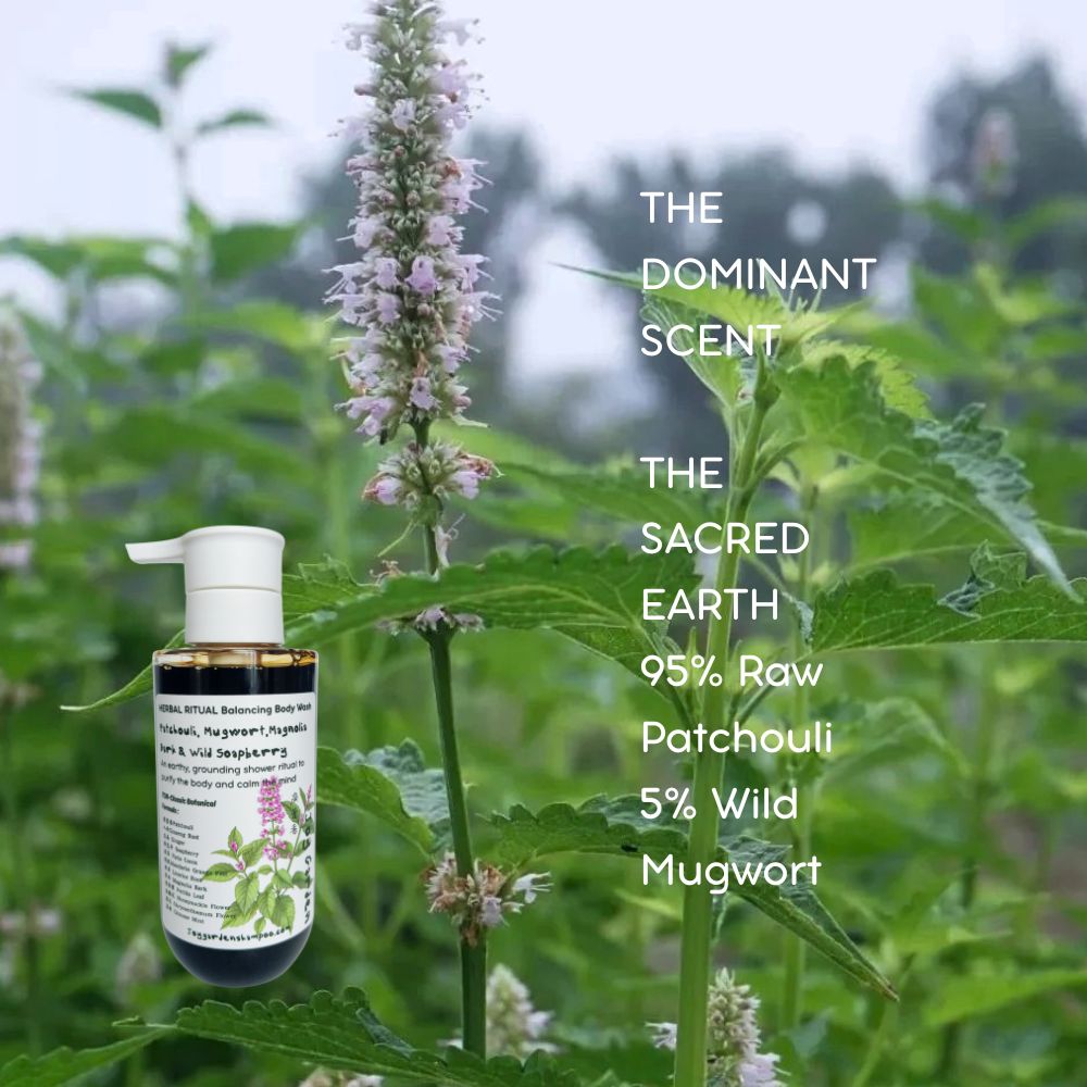 Joy Garden Patchouli & Wild Soapberry Balancing Body Wash