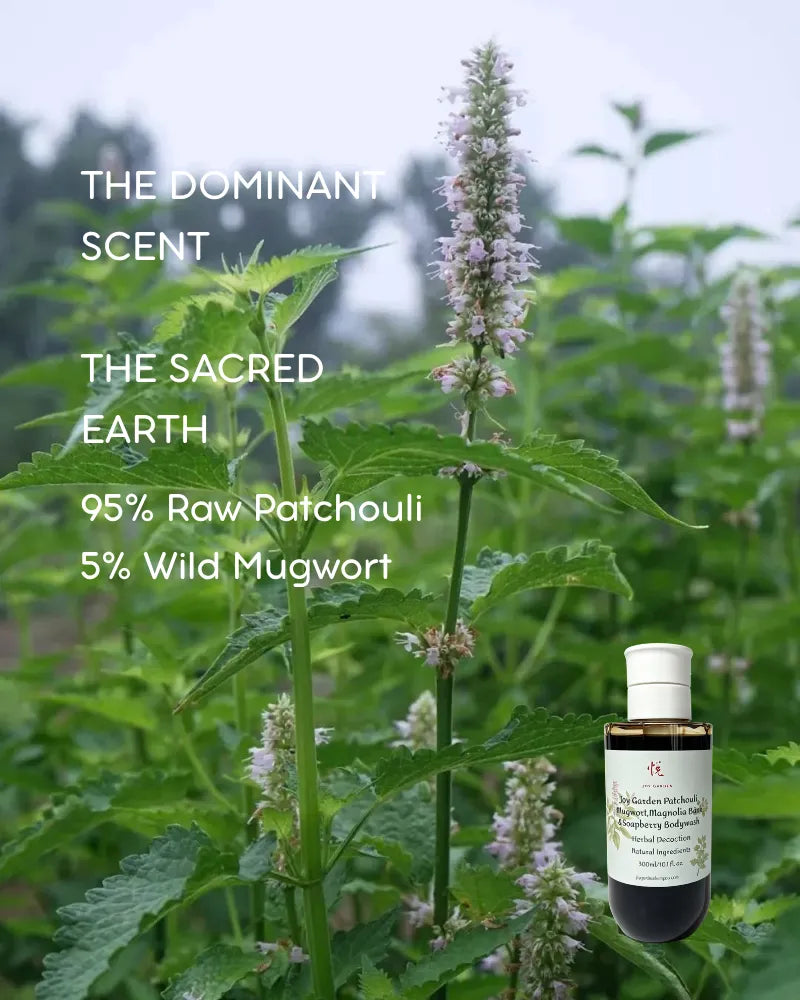 Earthy herbal fragrance profile of Joy Garden body wash featuring 95% raw patchouli and 5% wild mugwort blend