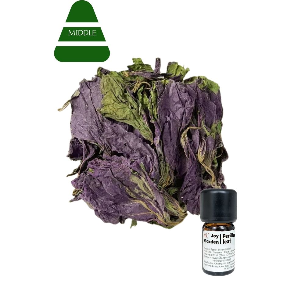 Perilla Leaf Essential Oil: Supercritical CO2 Extraction, 5ml