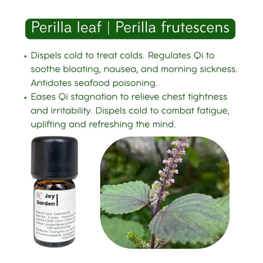 Perilla Leaf Essential Oil: Supercritical CO2 Extraction, 5ml