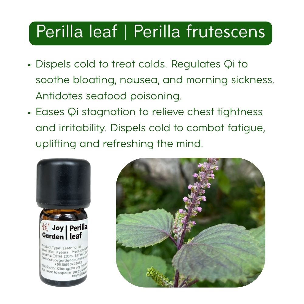 Perilla Leaf Essential Oil: Supercritical CO2 Extraction, 5ml