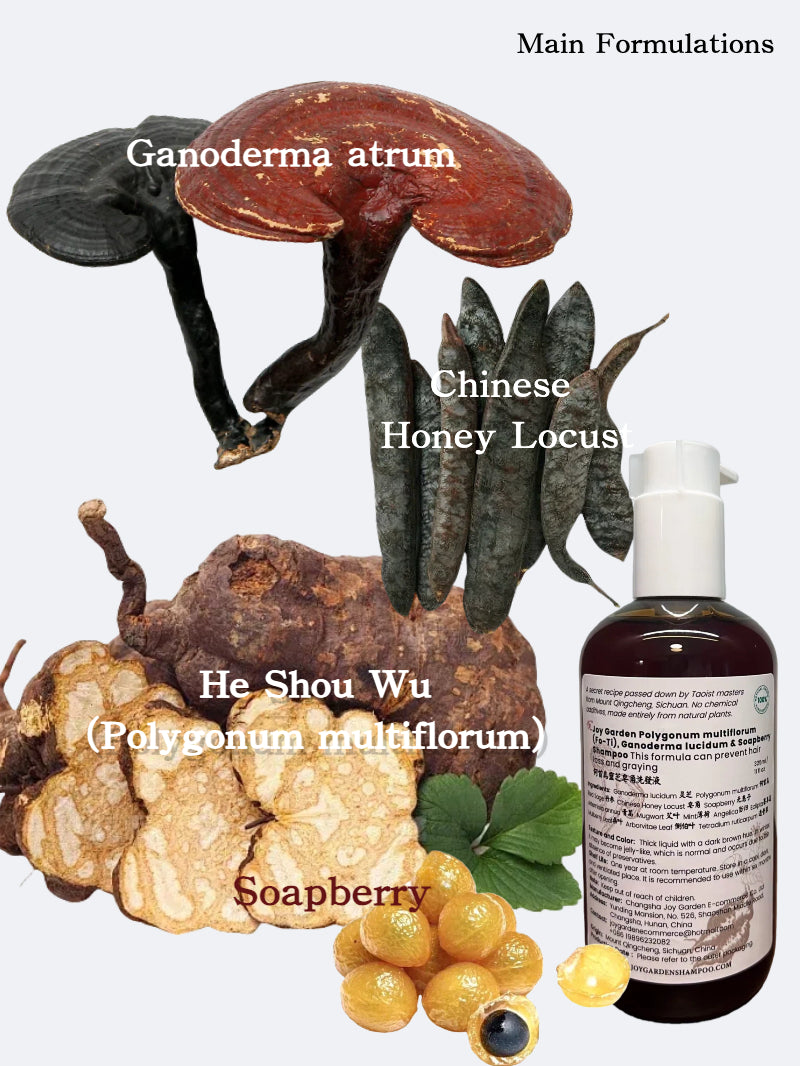 Joy Garden He Shou Wu Fo-Ti Herbal Shampoo Bottle – Natural TCM Hair Care