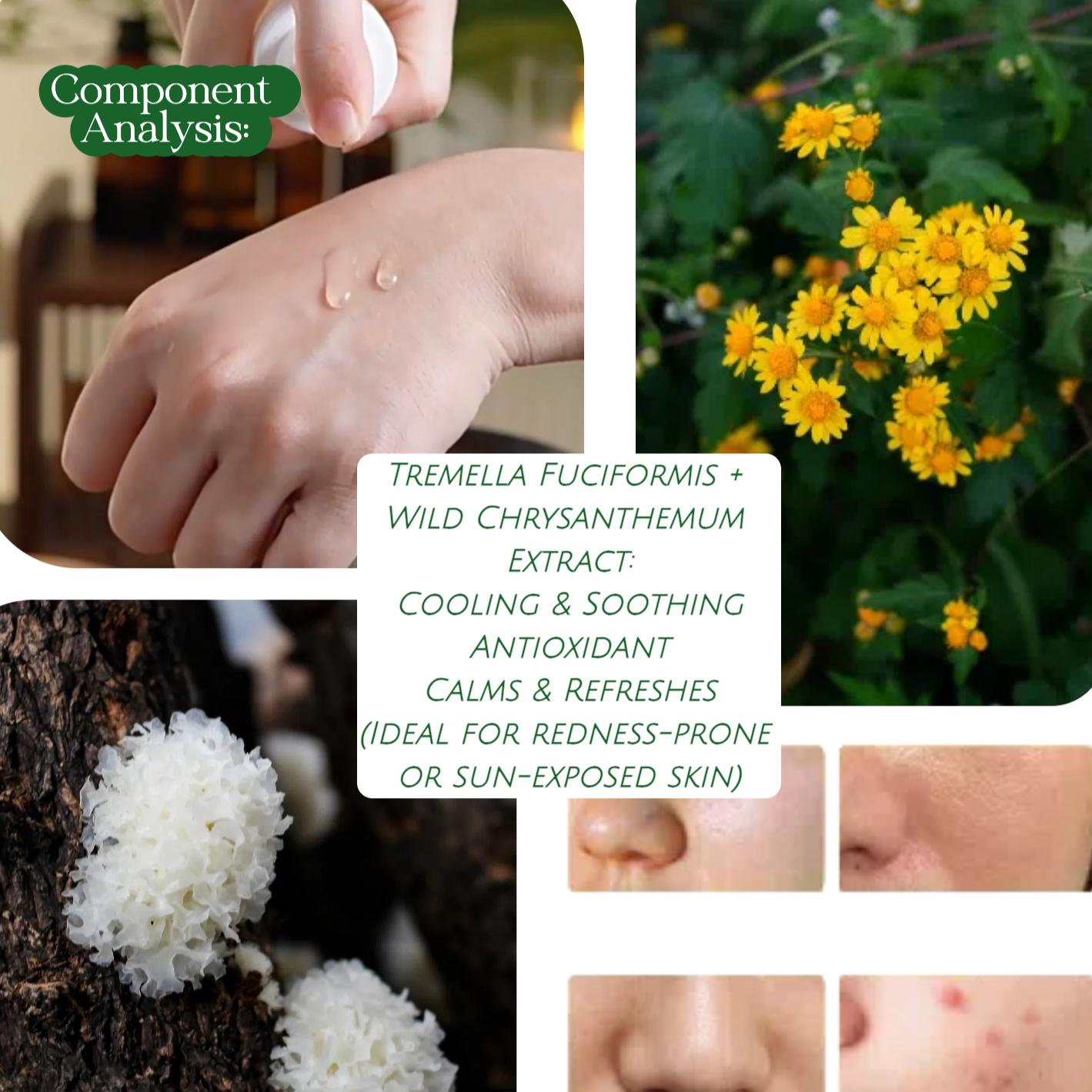 Joy Garden Tremella & Wild Chrysanthemum Hydrating Essence – plant-based soothing formula, gentle for sensitive skin