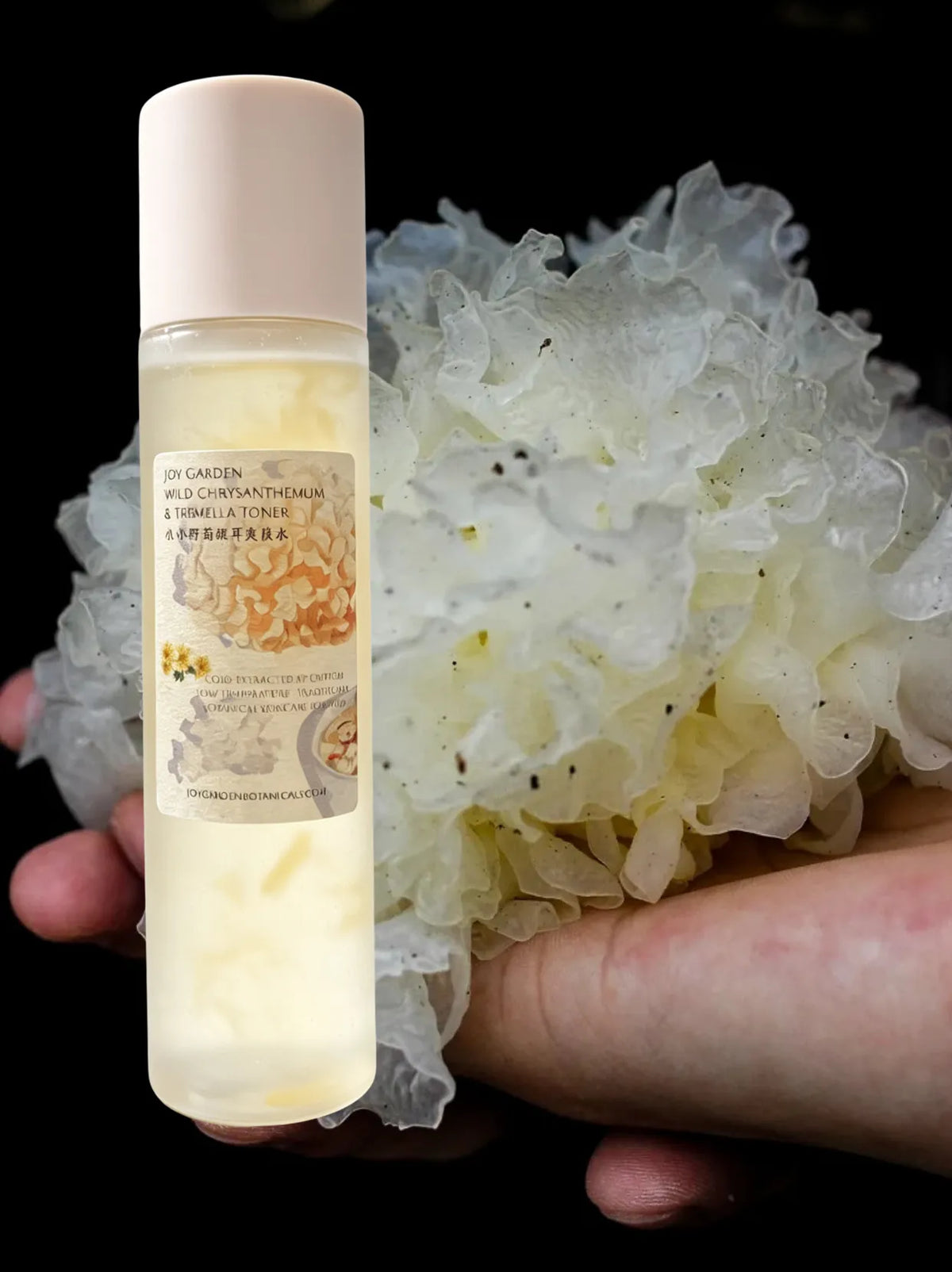 Joy Garden Wild Chrysanthemum and Tremella Hydrating Toner bottle held with fresh organic snow mushroom