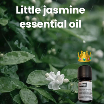 Joy Garden high concentration jasmine essential oil with rich floral aroma, pure natural extract for skincare and aromatherapy