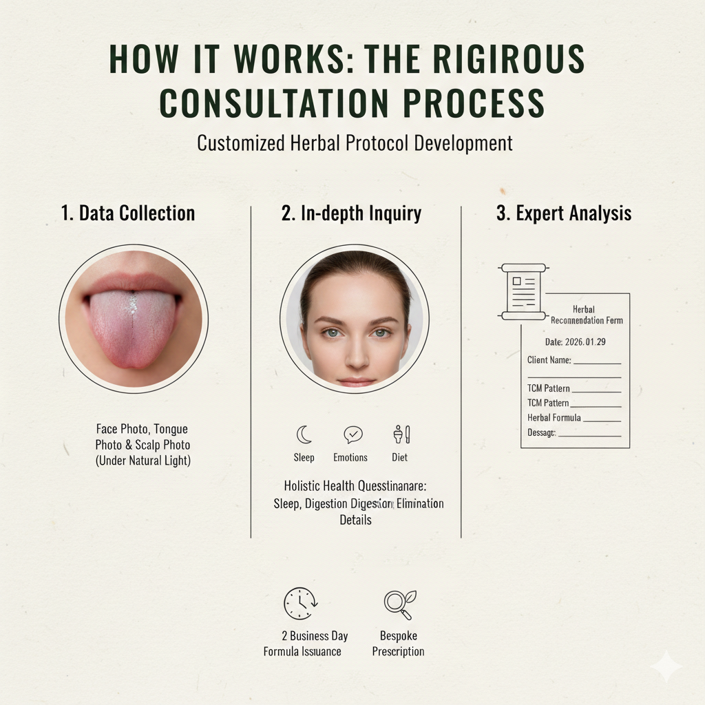 Remote TCM consultation steps: Holistic data collection, in-depth inquiry, and expert analysis.