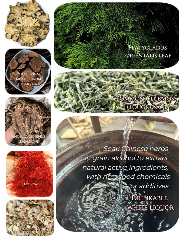 Display of whole traditional Eastern herbs including Polygonum multiflorum, Sichuan lovage, Angelica sinensis, and Common Clubmoss